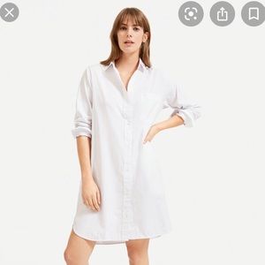 Everlane cotton shirt dress